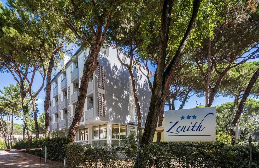Hotel Meublè Zenith-1